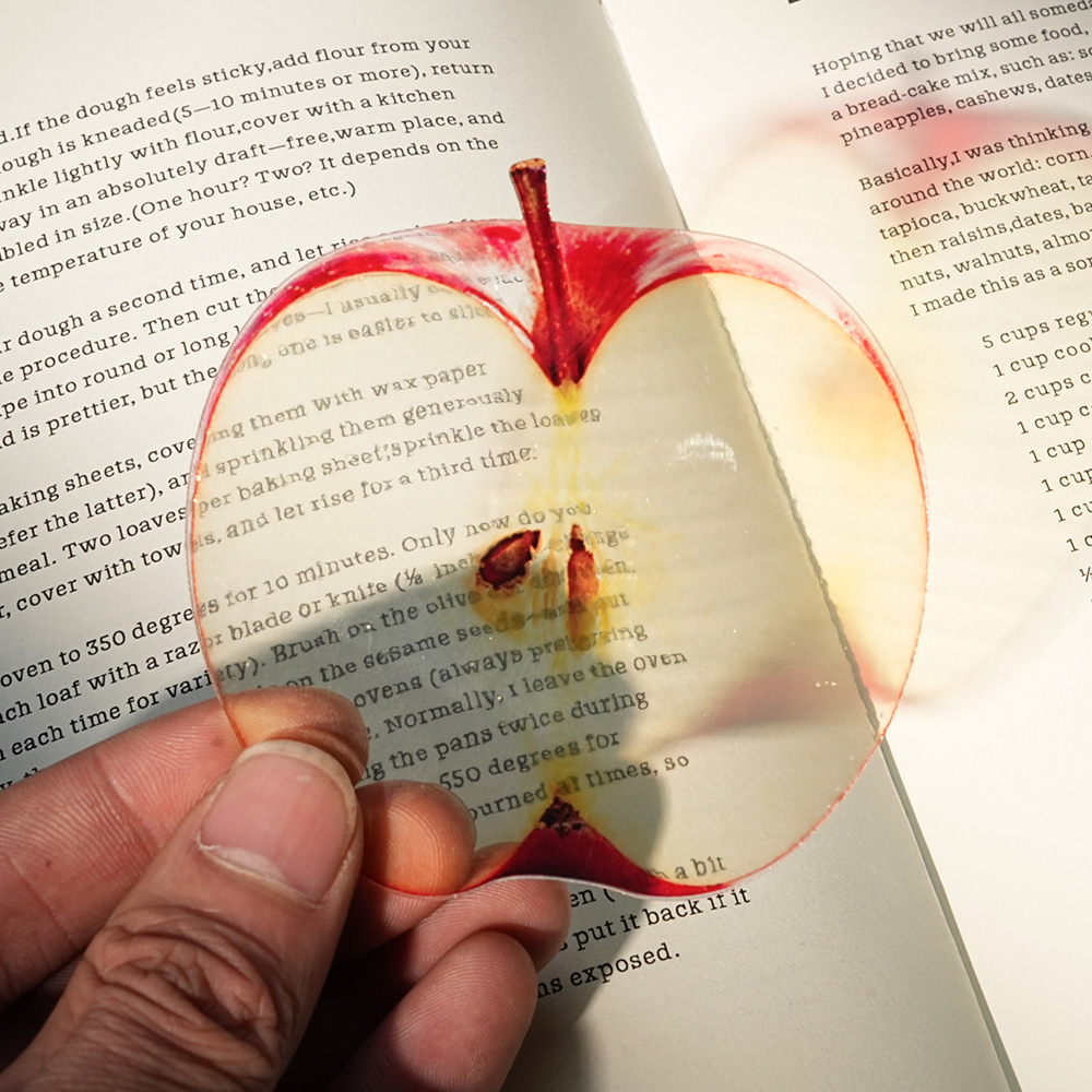 علامة كتب جديدة بتصميم أوراق د - مراجعة Dried Flower Bookmark وسعره