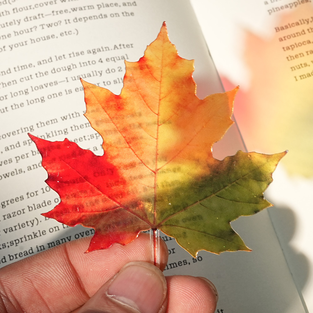 علامة كتب جديدة بتصميم أوراق د - مراجعة Dried Flower Bookmark وسعره
